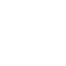 ce logo Auburn