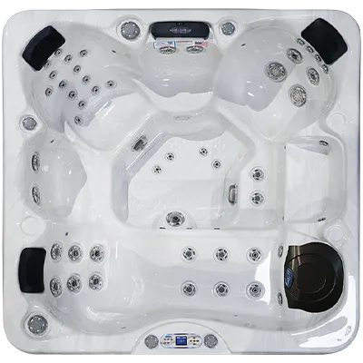 Avalon EC-849L hot tubs for sale in Auburn