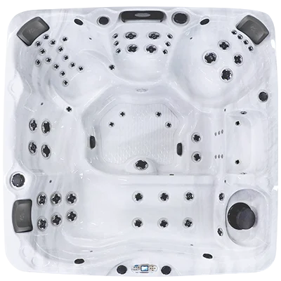 Avalon EC-867L hot tubs for sale in Auburn